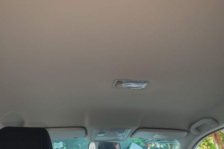 Used Venucia D60EV 2022 Battery-Swap Version Headliner