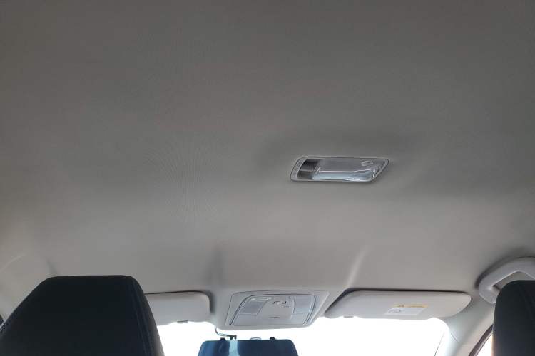 Used Venucia D60EV 2022 Standard Range T3 Headliner
