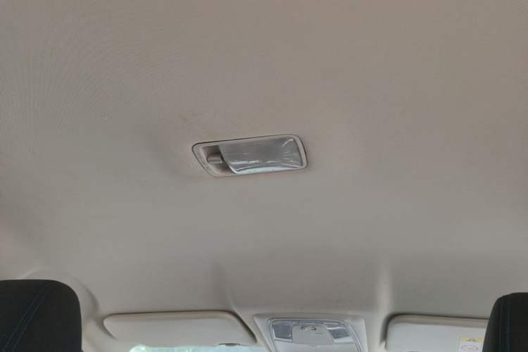 Used Venucia D60EV 2022 Standard Range Comfort Edition Headliner
