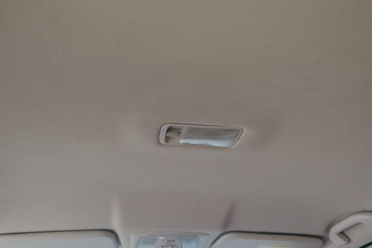 Used Venucia D60EV 2022 Battery-Swap Version Headliner
