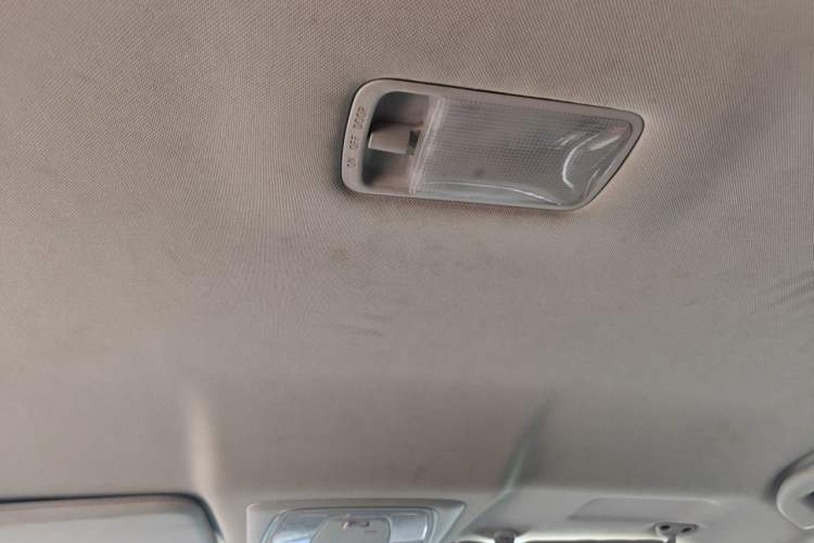 Used Venucia D60EV 2022 Standard Range Smart Drive Version Headliner