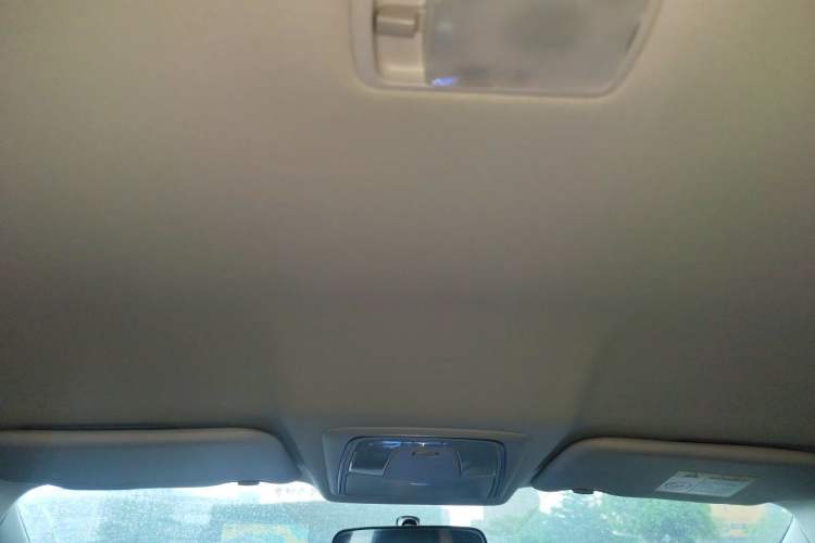 Used Venucia D60EV 2022 Standard Range Smart Drive Version Headliner