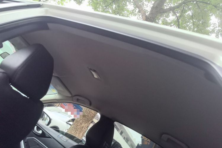 Used Venucia D60EV 2022 Standard Range Smart Drive Version Headliner