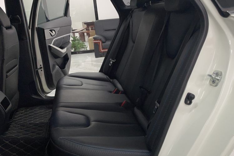 Used Venucia D60EV 2022 Standard Range Smart Drive Version Interior 1