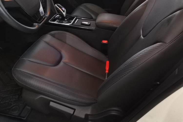 Used Venucia D60EV 2022 Standard Range Smart Edition Left Front Seat