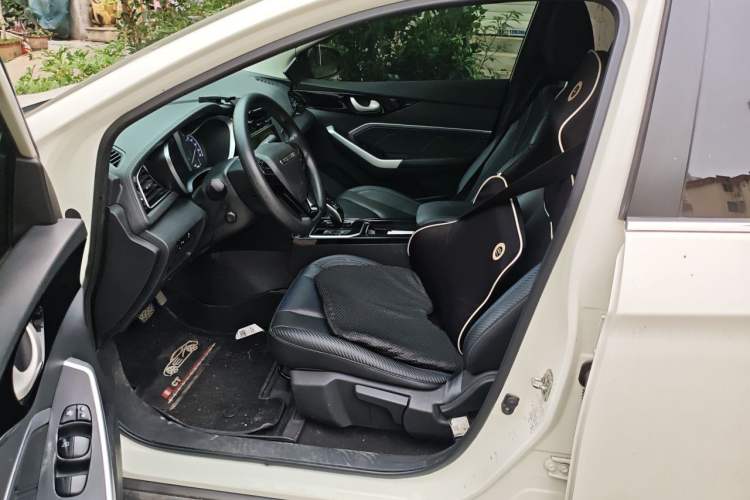 Used Venucia D60EV 2022 Standard Range Smart Drive Version Left Front Seat