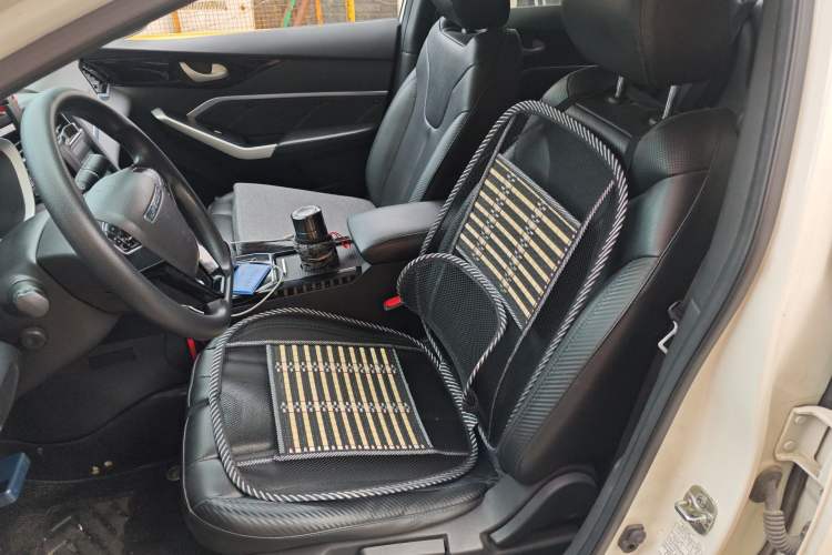 Used Venucia D60EV 2022 Standard Range Smart Drive Version Left Front Seat