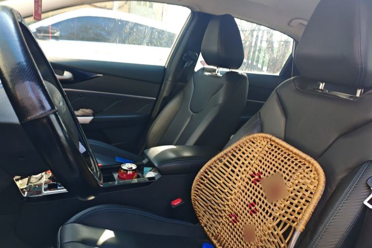 Used Venucia D60EV 2022 Standard Range Smart Drive Version Left Front Seat