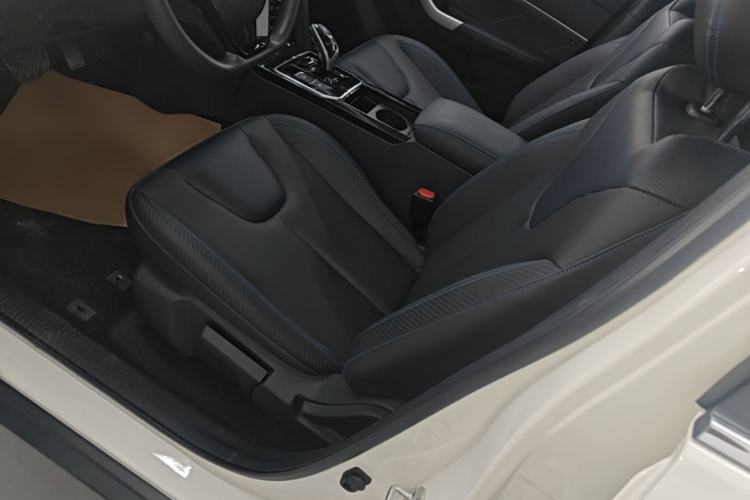 Used Venucia D60EV 2022 Battery-Swap Version Left Front Seat