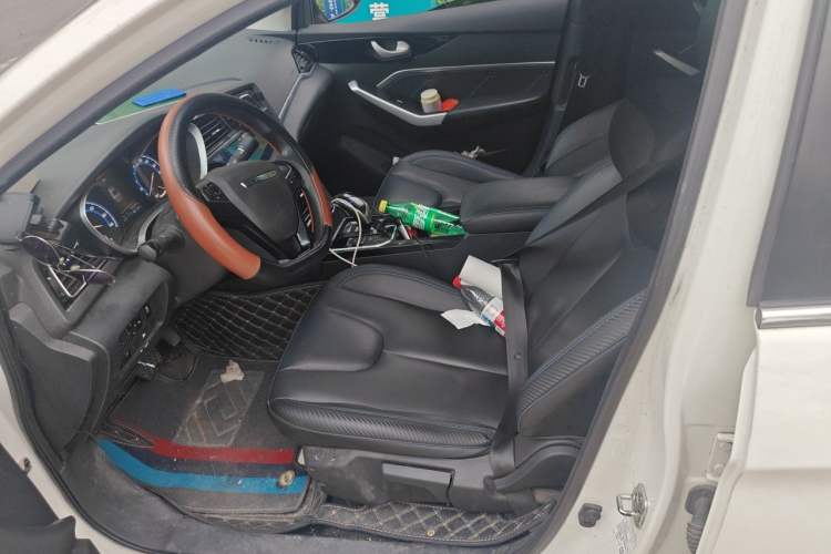 Used Venucia D60EV 2022 Standard Range Smart Drive Version Left Front Seat