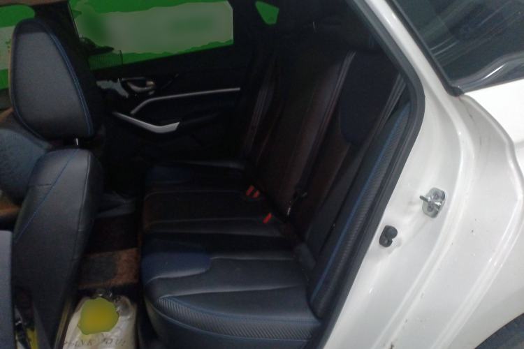 Used Venucia D60EV 2022 Standard Range Smart Drive Version Left Rear Seat