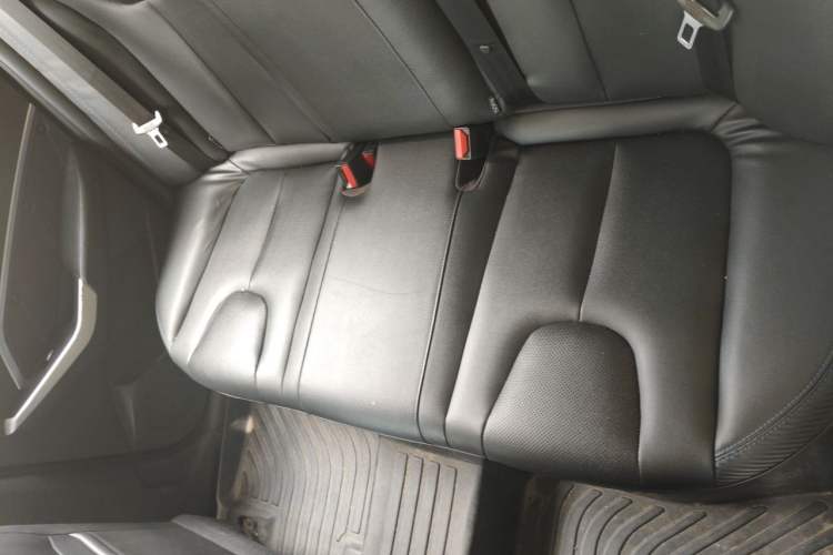 Used Venucia D60EV 2022 Standard Range Smart Drive Version Left Rear Seat