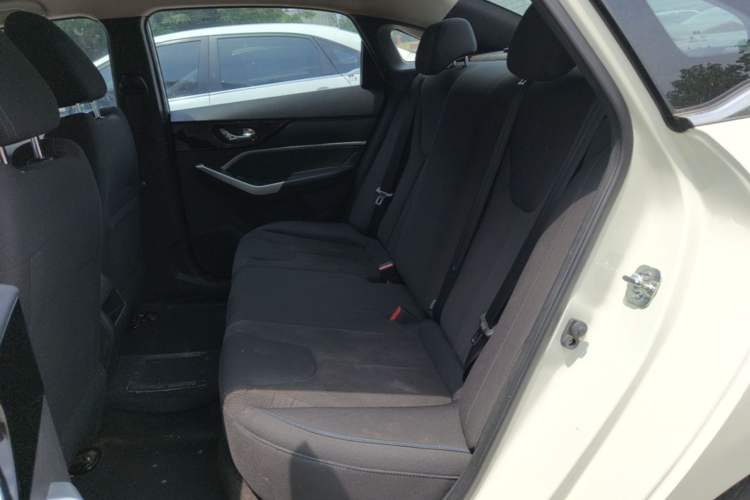 Used Venucia D60EV 2022 Standard Range Comfort Edition Left Rear Seat