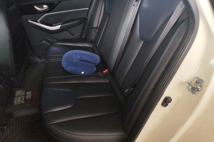 Used Venucia D60EV 2022 Standard Range Smart Drive Version Left Rear Seat
