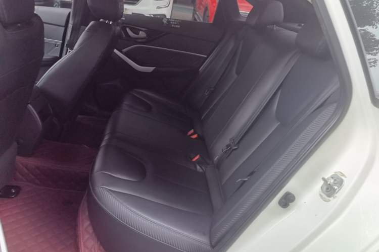 Used Venucia D60EV 2022 Standard Range Smart Drive Version Left Rear Seat