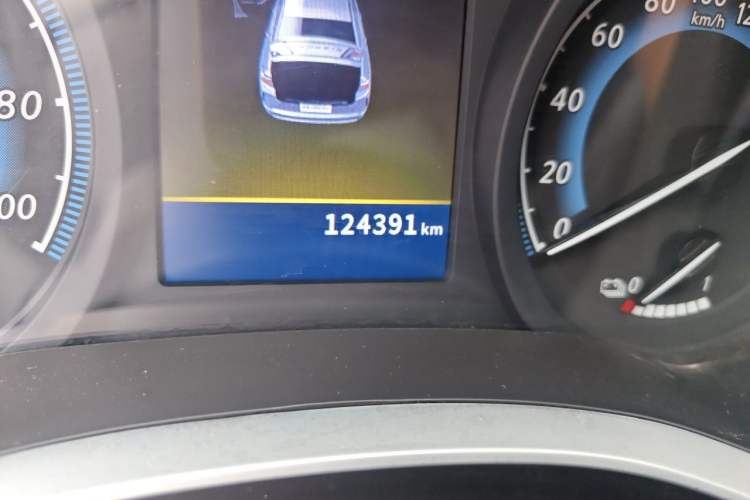 Used Venucia D60EV 2022 Standard Range Smart Drive Version Odometer Close Up