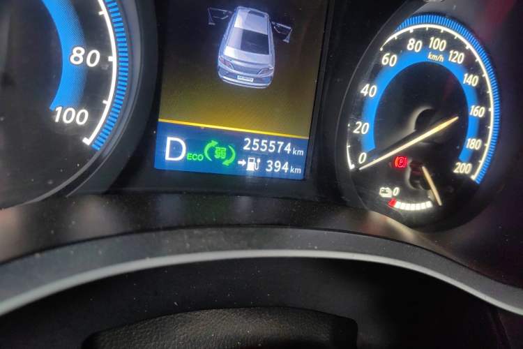 Used Venucia D60EV 2022 Standard Range Smart Drive Version Odometer Close Up