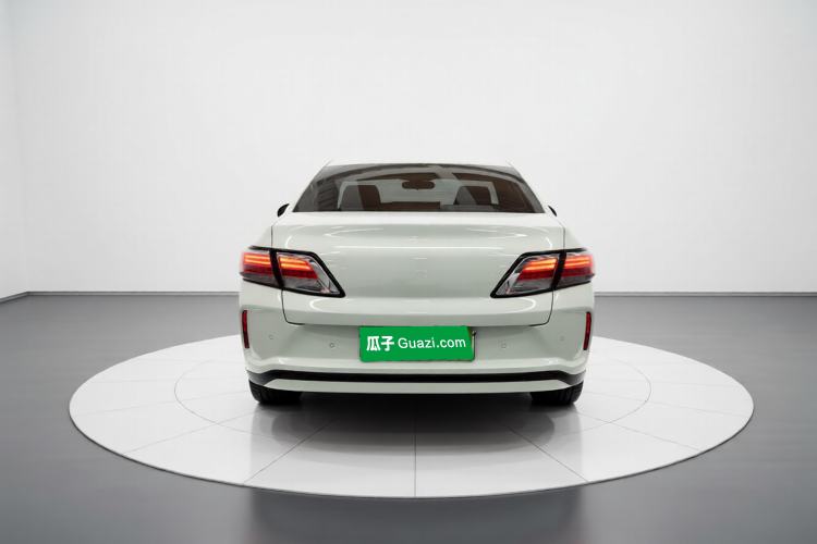 Used Venucia D60EV 2022 Standard Range Smart Drive Version Rear