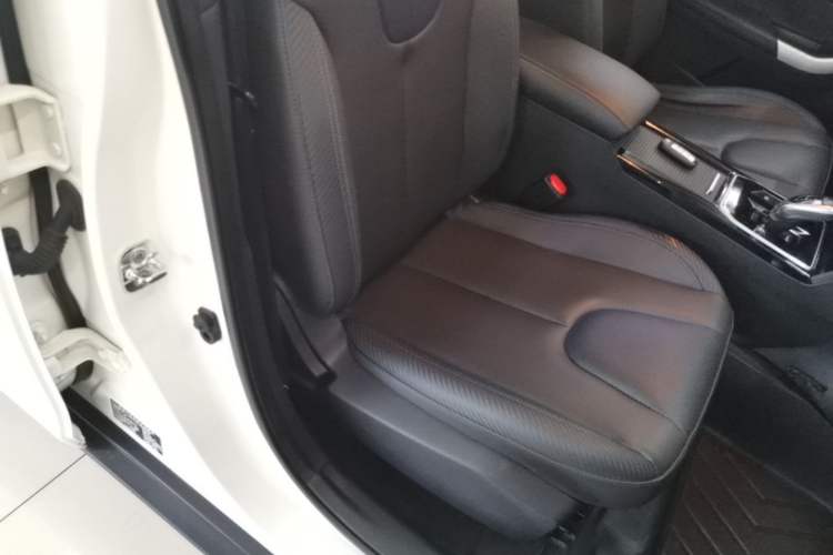 Used Venucia D60EV 2022 Standard Range Smart Edition Right Front Seat
