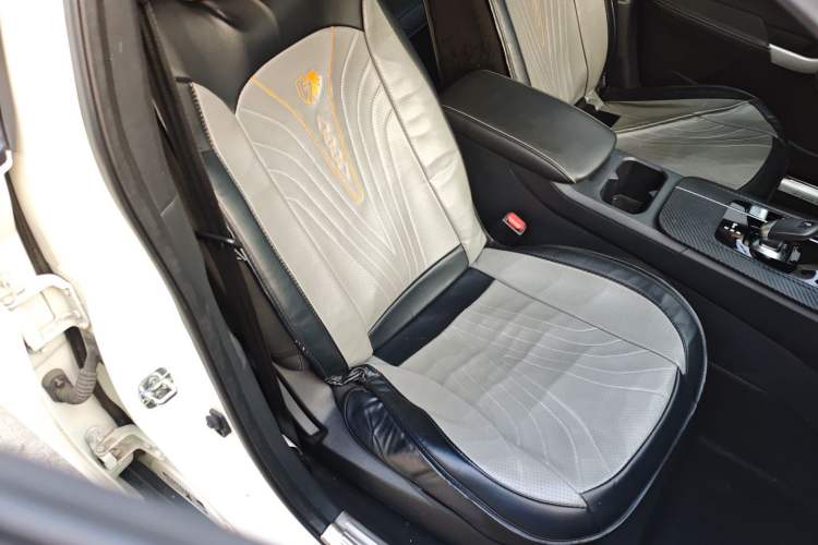 Used Venucia D60EV 2022 Standard Range Comfort Edition Right Front Seat
