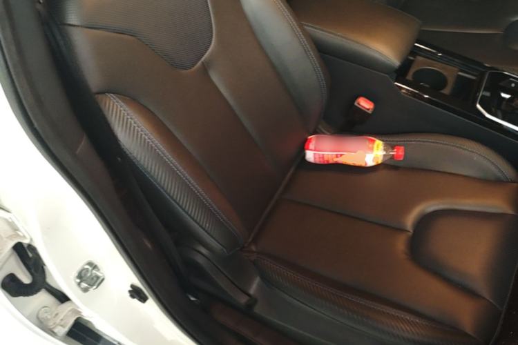 Used Venucia D60EV 2022 Battery-Swap Version Right Front Seat