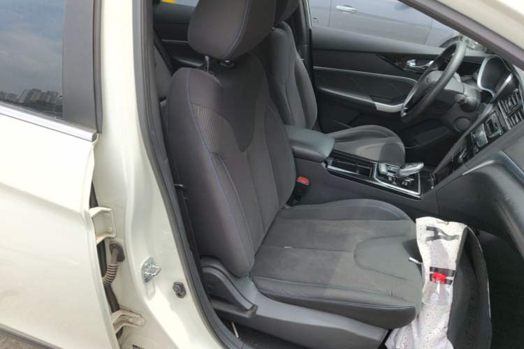 Used Venucia D60EV 2022 Standard Range Comfort Edition Right Front Seat