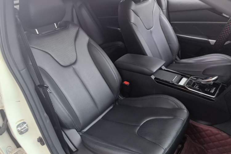 Used Venucia D60EV 2022 Standard Range Smart Drive Version Right Front Seat
