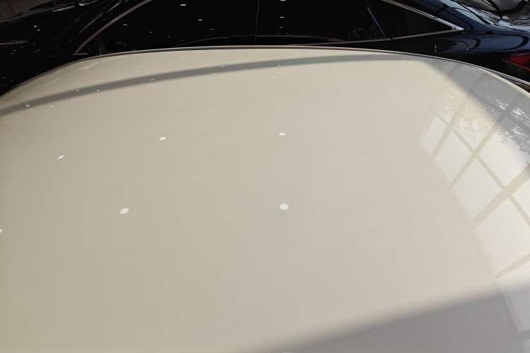 Used Venucia D60EV 2022 Standard Range T3 Roof