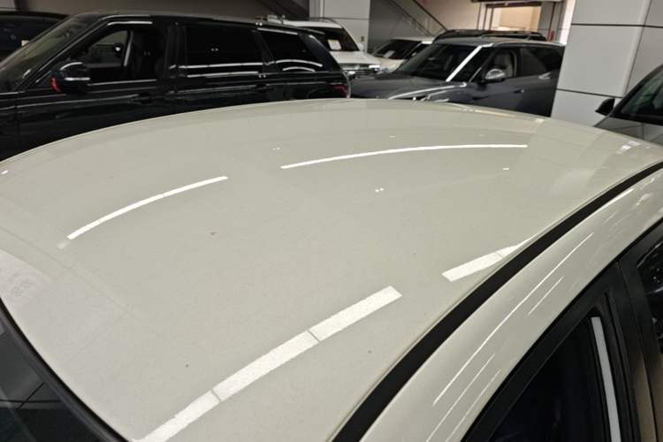 Used Venucia D60EV 2022 Standard Range T3 Roof