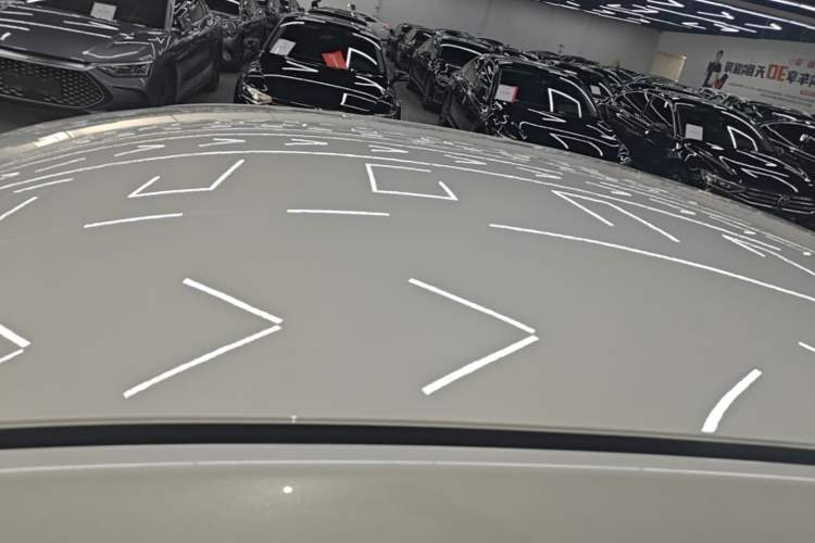 Used Venucia D60EV 2022 Battery-Swap Version Roof