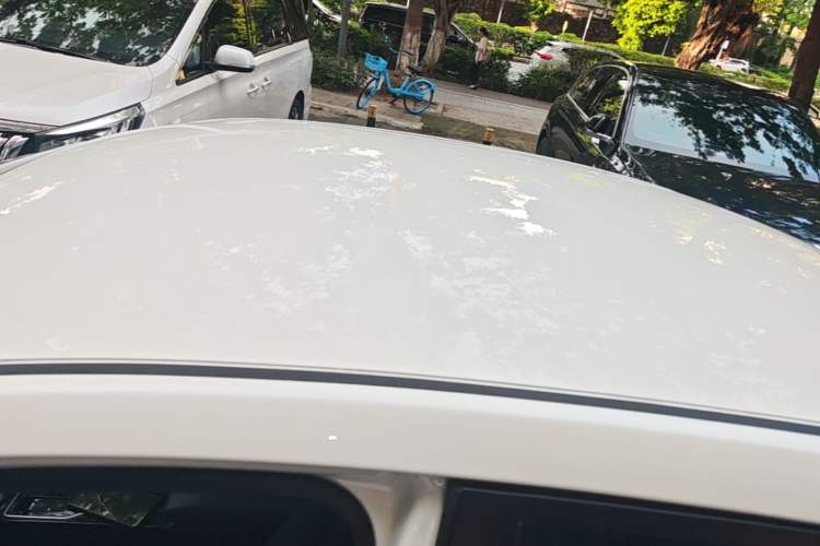 Used Venucia D60EV 2022 Battery-Swap Version Roof