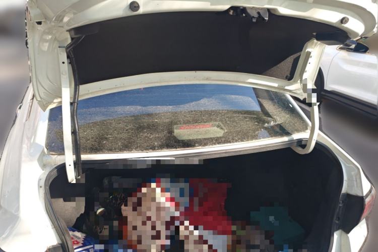 Used Venucia D60EV 2022 Standard Range Smart Drive Version Trunk