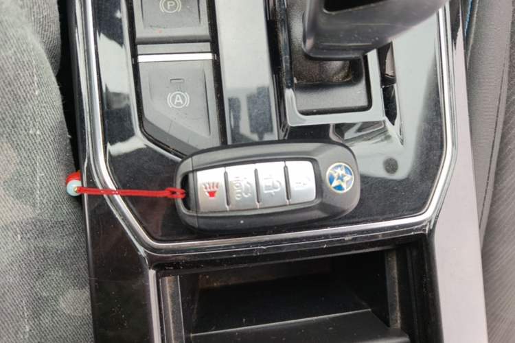 Used Venucia D60EV 2022 Standard Range Comfort Edition Vehicle Key