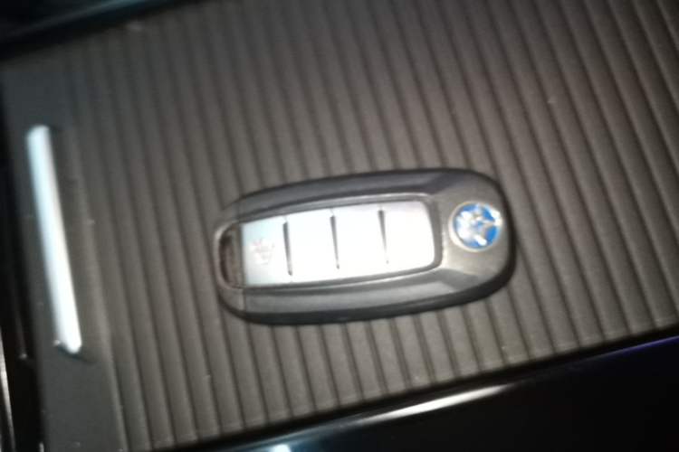 Used Venucia D60EV 2022 Standard Range Smart Edition Vehicle Key