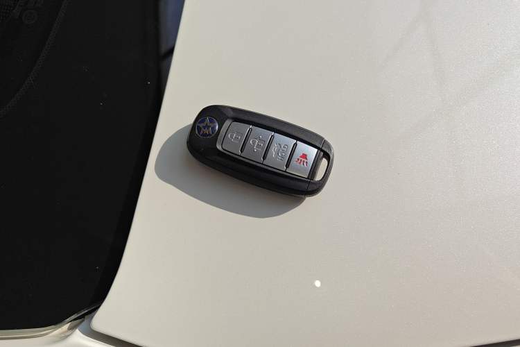 Used Venucia D60EV 2022 Standard Range T3 Vehicle Key