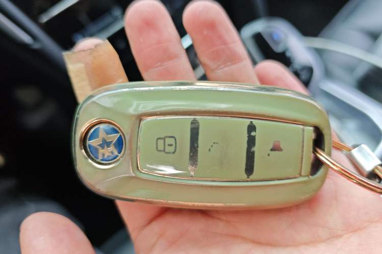 Used Venucia D60EV 2022 Standard Range Smart Drive Version Vehicle Key