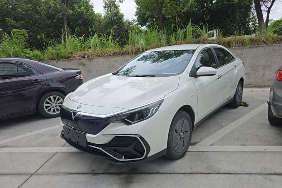 Venucia Venucia D60EV 2023