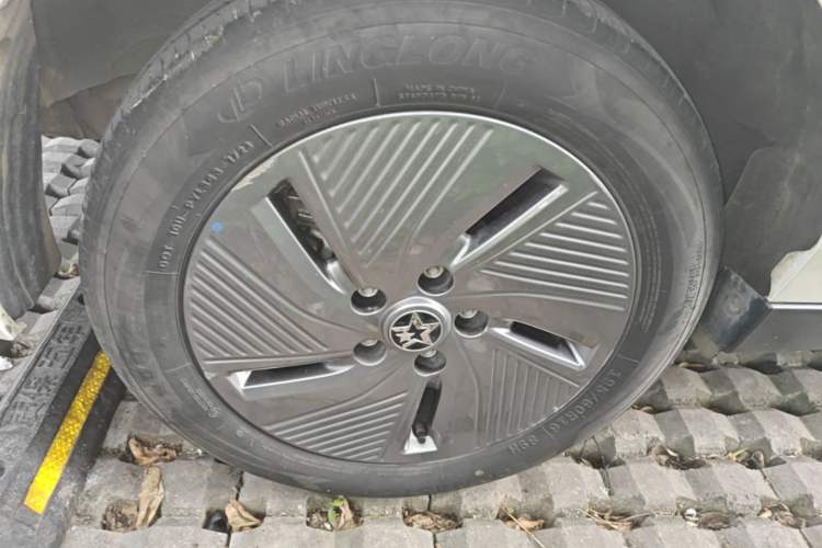 Used Venucia D60EV 2023 PLUS Comfort Edition SI Model Exterior 5