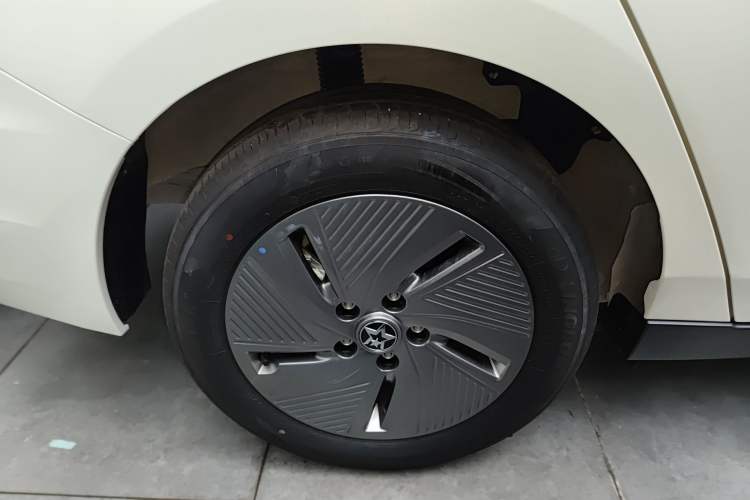 Used Venucia D60EV 2023 PLUS Comfort Edition SI Model Exterior 8