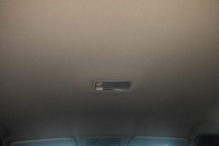 Used Venucia D60EV 2023 PLUS Comfort Edition CI Model Headliner