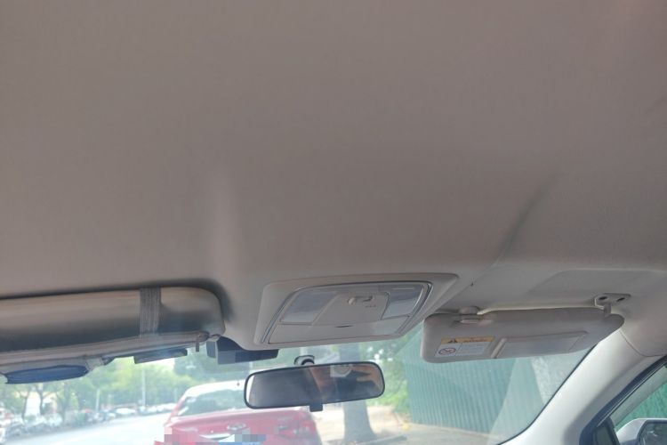 Used Venucia D60EV 2023 PLUS Comfort Edition RJ Model Headliner