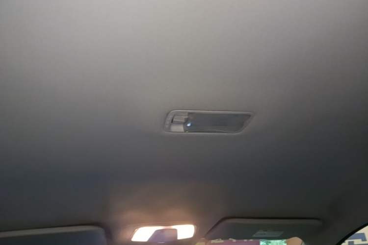 Used Venucia D60EV 2023 PLUS Comfort Edition SI Model Headliner
