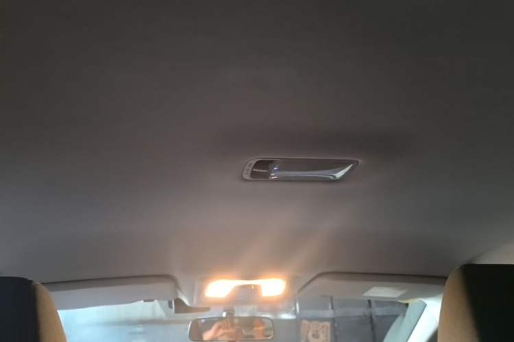 Used Venucia D60EV 2023 PLUS Comfort Edition RJ Model Headliner