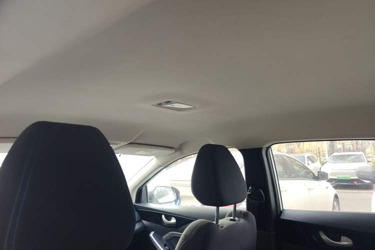 Used Venucia D60EV 2023 PLUS Smart Drive Edition SI Model Headliner