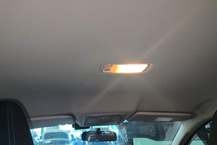 Used Venucia D60EV 2023 PLUS Comfort Edition RJ Model Headliner