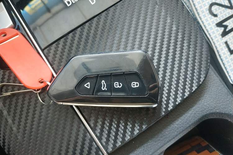 Used Venucia D60EV 2023 PLUS Comfort Edition SI Model Interior 1