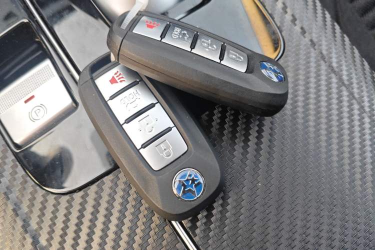 Used Venucia D60EV 2023 PLUS Comfort Edition SI Model Interior 1