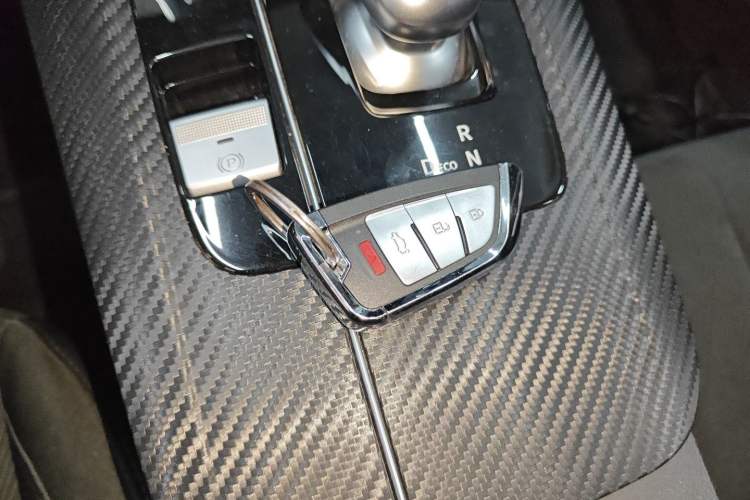 Used Venucia D60EV 2023 PLUS Comfort Edition RJ Model Interior 1