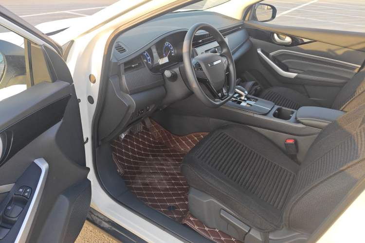 Used Venucia D60EV 2023 PLUS Comfort Edition SI Model Interior 3