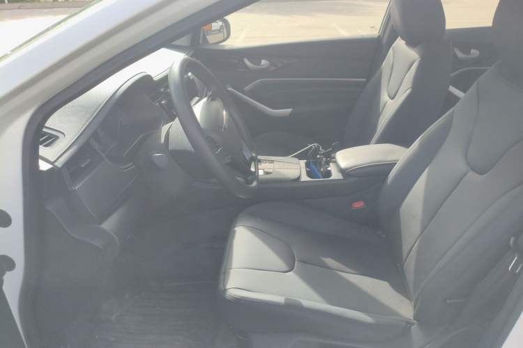 Used Venucia D60EV 2023 PLUS Comfort Edition SI Model Left Front Seat